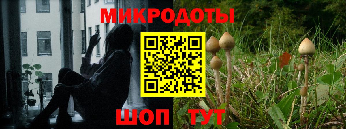 Псилоцибиновые грибы GOLDEN TEACHER Новодвинск