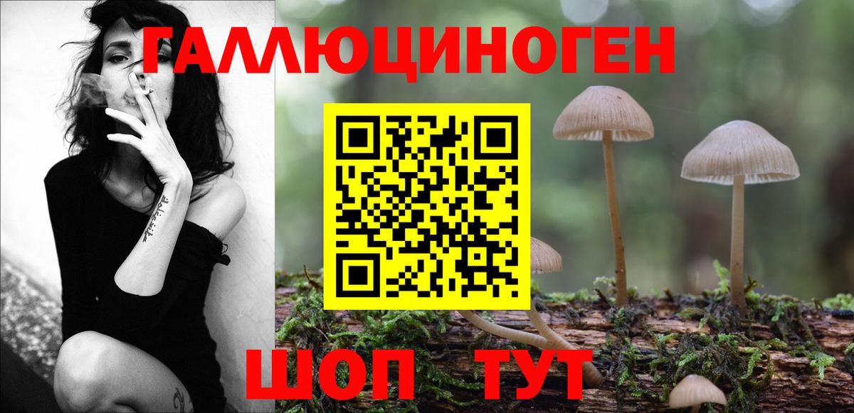 Галлюциногенные грибы MAGIC MUSHROOMS  даркнет сайт  Новодвинск  Вход с VPN 