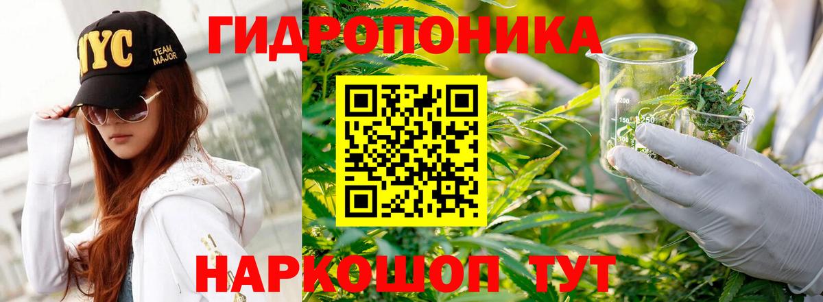 МАРИХУАНА гибрид Новодвинск